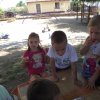 fnykpek 1225